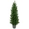 Northlight 4' Potted Virginia Pine Walkway Slim Artificial Christmas Tree - Unlit